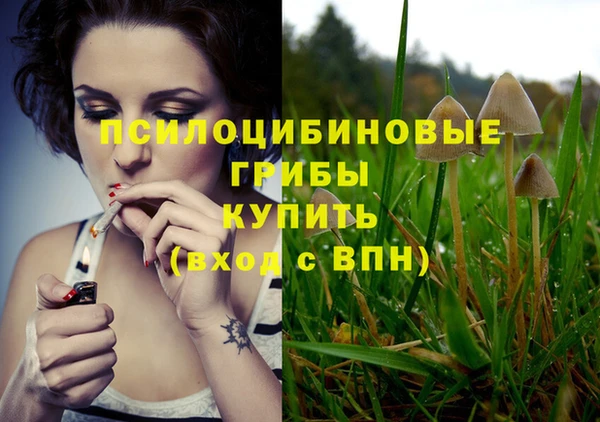 героин Алексин