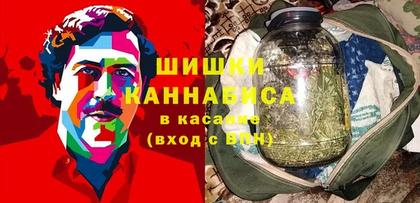 соль ск Арсеньев