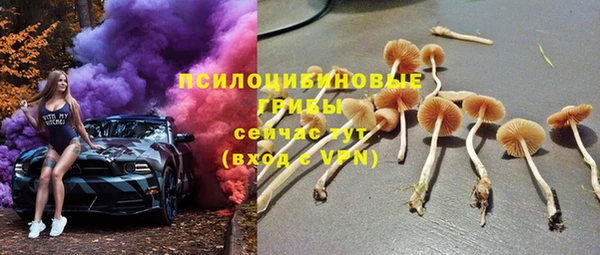 спайс Елизово