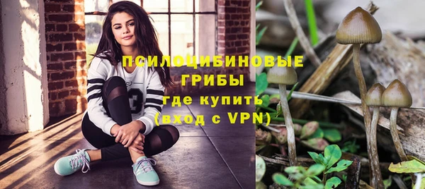 стафф Алексеевка